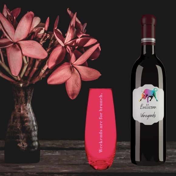 Last one NWT Weekends Are For Brunch Stemless Champagne Flute Glass Red - Picture 4 of 4